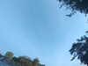 20240613065622-G0020072.JPG