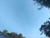 20240613065642-G0020078.JPG