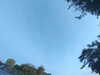 20240613065721-G0020090.JPG