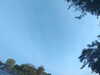 20240613065737-G0020095.JPG