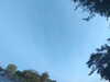 20240613065757-G0020101.JPG