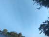 20240613065820-G0020108.JPG