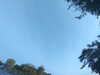 20240613065830-G0020111.JPG