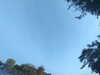 20240613065833-G0020112.JPG