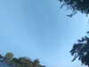 20240613065909-G0020123.JPG