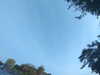 20240613070003-G0020130.JPG
