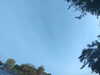 20240613070147-G0020162.JPG