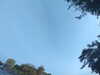 20240613070352-G0020200.JPG
