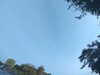 20240613070458-G0020220.JPG