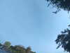 20240613070511-G0020224.JPG