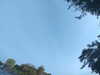 20240613070537-G0020232.JPG