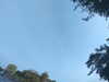 20240613070623-G0020246.JPG