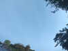 20240613070818-G0020281.JPG