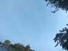 20240613070827-G0020284.JPG