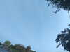 20240613070926-G0020302.JPG