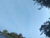 20240613070946-G0020308.JPG