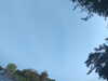 20240613070959-G0020312.JPG