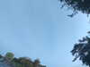 20240613071002-G0020313.JPG