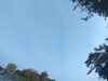 20240613071016-G0020317.JPG