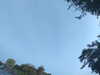 20240613071048-G0020327.JPG