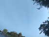 20240613071105-G0020332.JPG