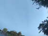 20240613071111-G0020334.JPG
