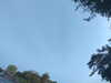 20240613071137-G0020342.JPG
