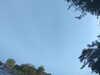 20240613071157-G0020348.JPG