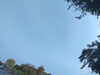 20240613071521-G0020410.JPG