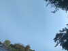 20240613071527-G0020412.JPG