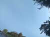 20240613071640-G0020434.JPG