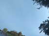 20240613071749-G0020455.JPG