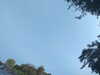 20240613071818-G0020464.JPG