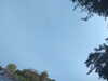 20240613071848-G0020473.JPG