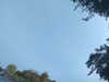 20240613071904-G0020478.JPG