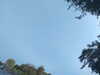 20240613071931-G0020486.JPG