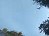 20240613072003-G0020496.JPG