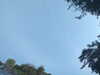 20240613072056-G0020512.JPG