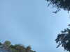 20240613072201-G0020532.JPG