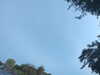 20240613072211-G0020535.JPG