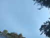 20240613072214-G0020536.JPG