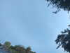 20240613072227-G0020540.JPG
