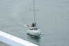 20240615102100-DSCN7116.JPG