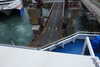 20240615103209-DSCN7132.JPG