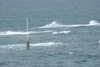 20240615104519-DSCN7163.JPG