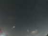 20240803224838-G0041322.JPG
