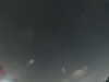 20240803224931-G0041326.JPG