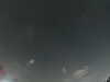 20240803224944-G0041327.JPG