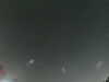 20240803225612-G0041356.JPG