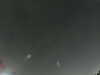 20240803232027-G0041464.JPG